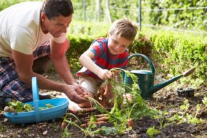 Father and Son Planting